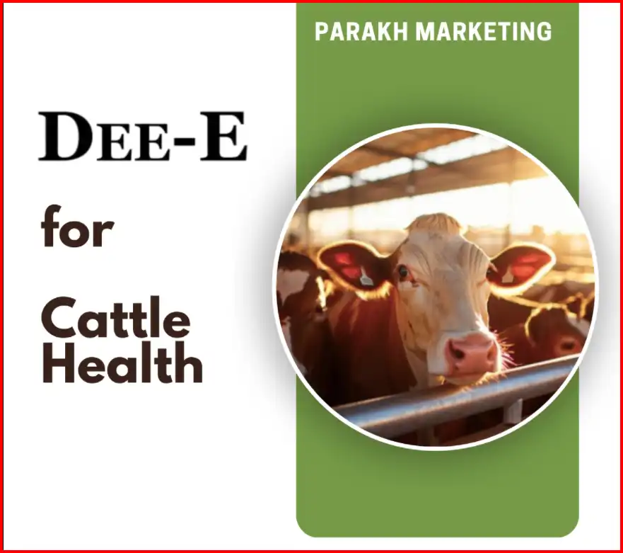 Cattle Health